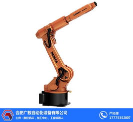合肥廣數(shù)工業(yè)機(jī)器人價(jià)格解析與自動(dòng)化設(shè)備服務(wù)概覽